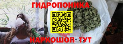 винт Кингисепп
